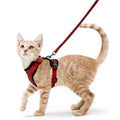 Escape-Proof Cat Harness and Leash – Soft Adjustable Vest for Walking-My Little Pet