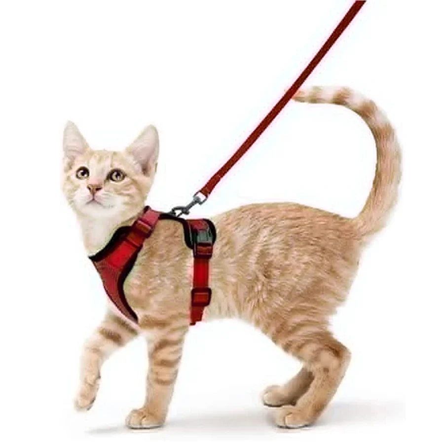Escape-Proof Cat Harness and Leash – Soft Adjustable Vest for Walking-My Little Pet