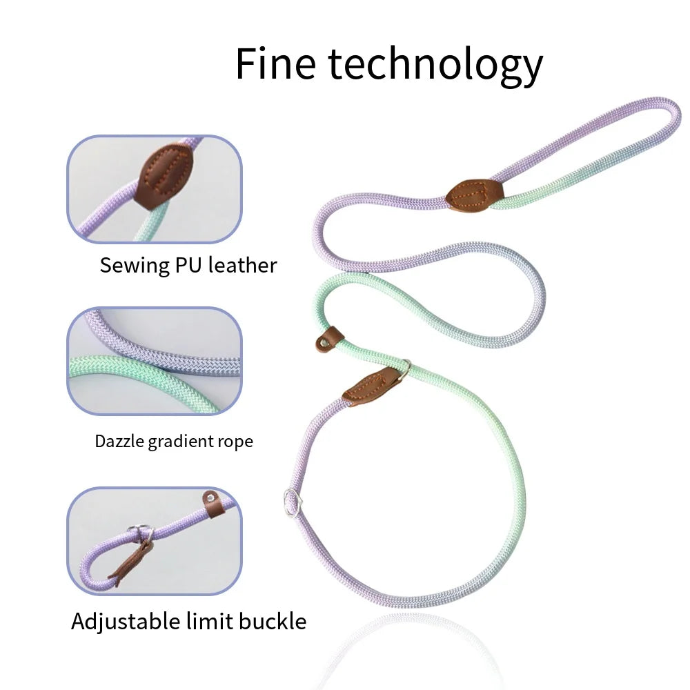 Durable Nylon Dog Leash for Puppies and Adult Dogs-My Little Pet