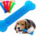 Durable Rubber Bone Chew Toy for Dogs - Dental Health & Boredom Relief-My Little Pet