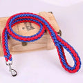 Nylon Dog Leash for Medium to Large Dogs – Training & Walking Lead - My Little Pet