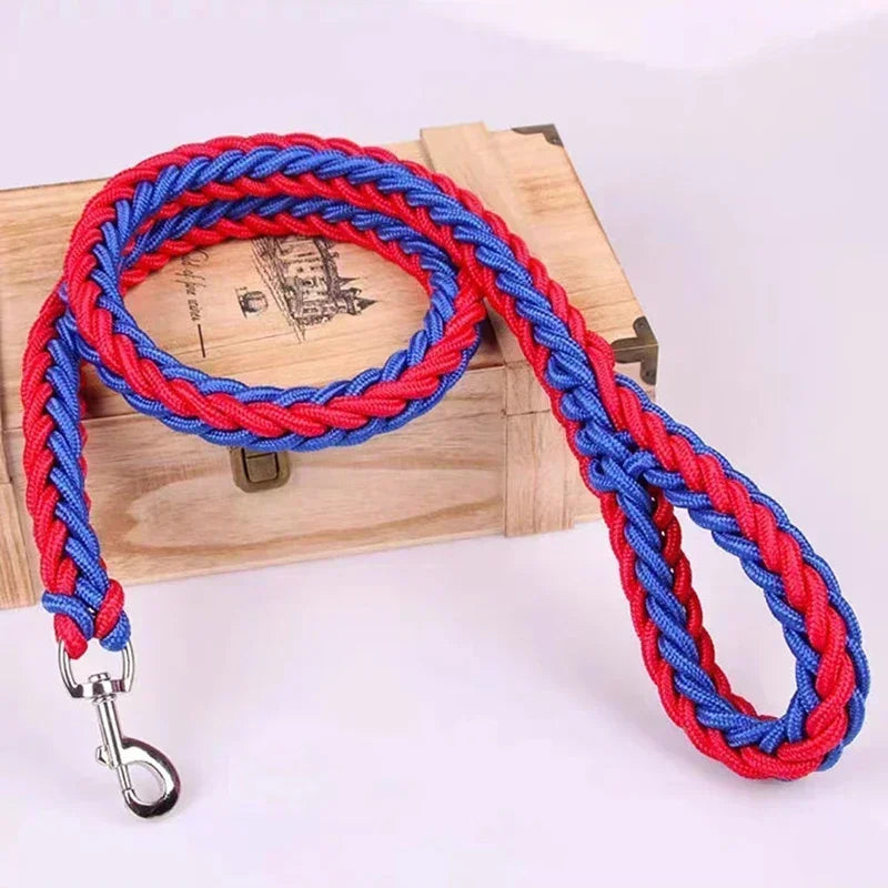 Nylon Dog Leash for Medium to Large Dogs – Training & Walking Lead - My Little Pet