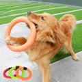 Durable Dog Chew Ring – Lightweight Fetch Toy for Active Play-My Little Pet