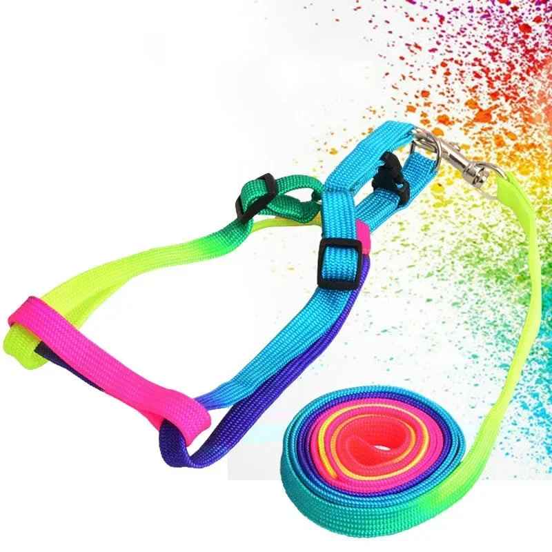 Colorful Rainbow Pet Harness and Leash Set-My Little Pet