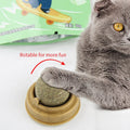 Cat Scratching Post with Catnip - Wall-Mounted Toy for Cats-My Little Pet