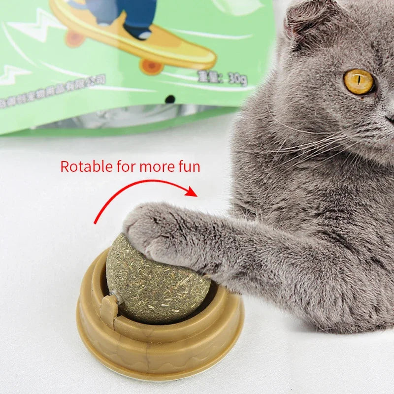 Cat Scratching Post with Catnip - Wall-Mounted Toy for Cats-My Little Pet