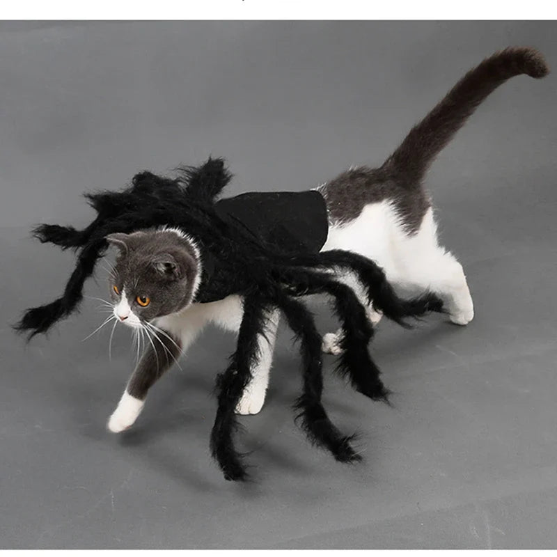 Spider Costume for Pets: Halloween Cosplay for Dogs and Cats-My Little Pet