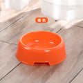 Slow Feeding Dog Bowl for Puppies and Adult Dogs-My Little Pet