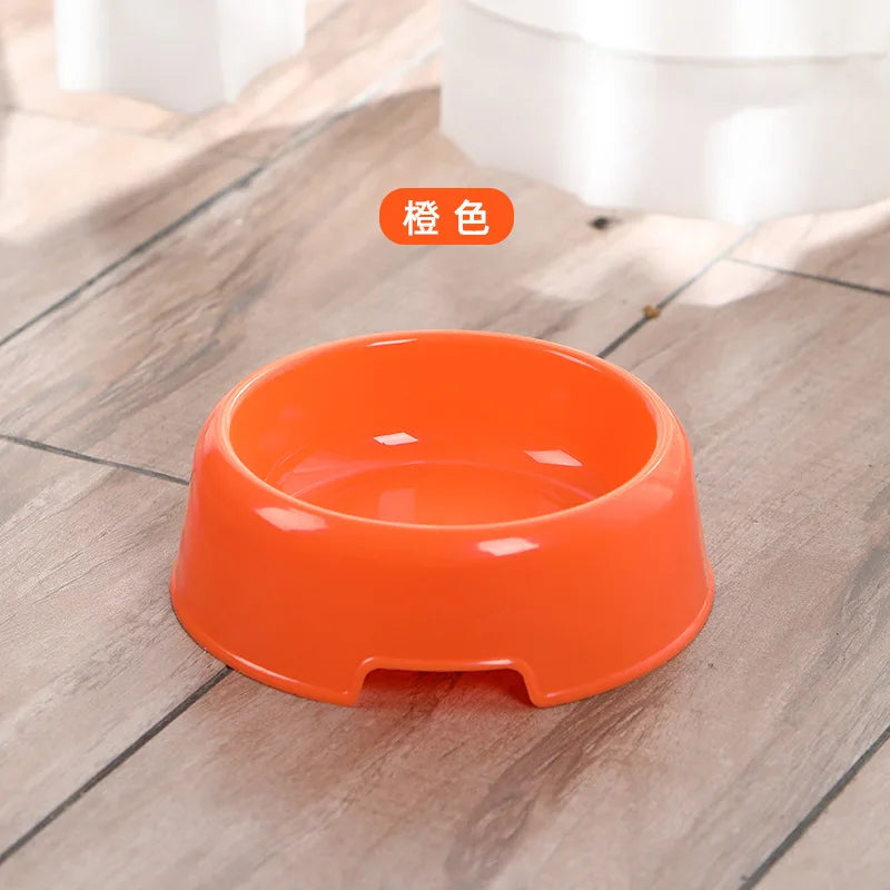Slow Feeding Dog Bowl for Puppies and Adult Dogs-My Little Pet