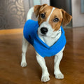 Warm Fleece Vest for Small Dogs and Cats with D-Ring Attachment-My Little Pet