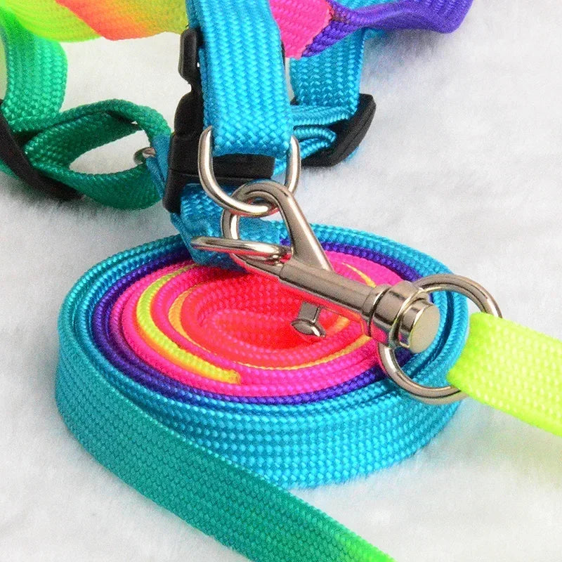 Colorful Rainbow Pet Harness and Leash Set-My Little Pet