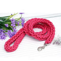 Nylon Dog Leash for Medium to Large Dogs – Training & Walking Lead - My Little Pet