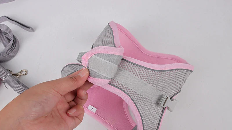 Adjustable Dog Harness and Leash Set for Small Dogs – Comfortable Walking Vest for Puppies and Cats - My Little Pet