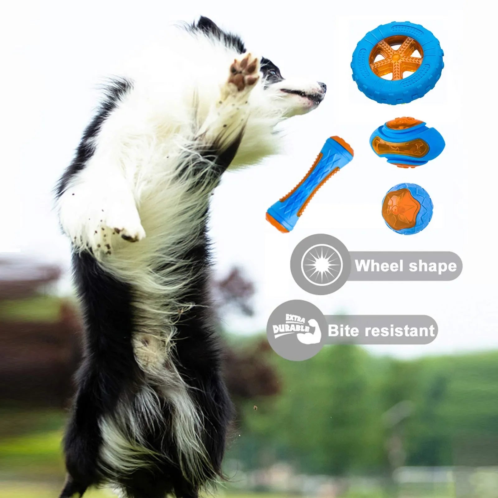 Durable Rubber Dog Chew Toys - Squeaky, Bite Resistant for Large Dogs-My Little Pet