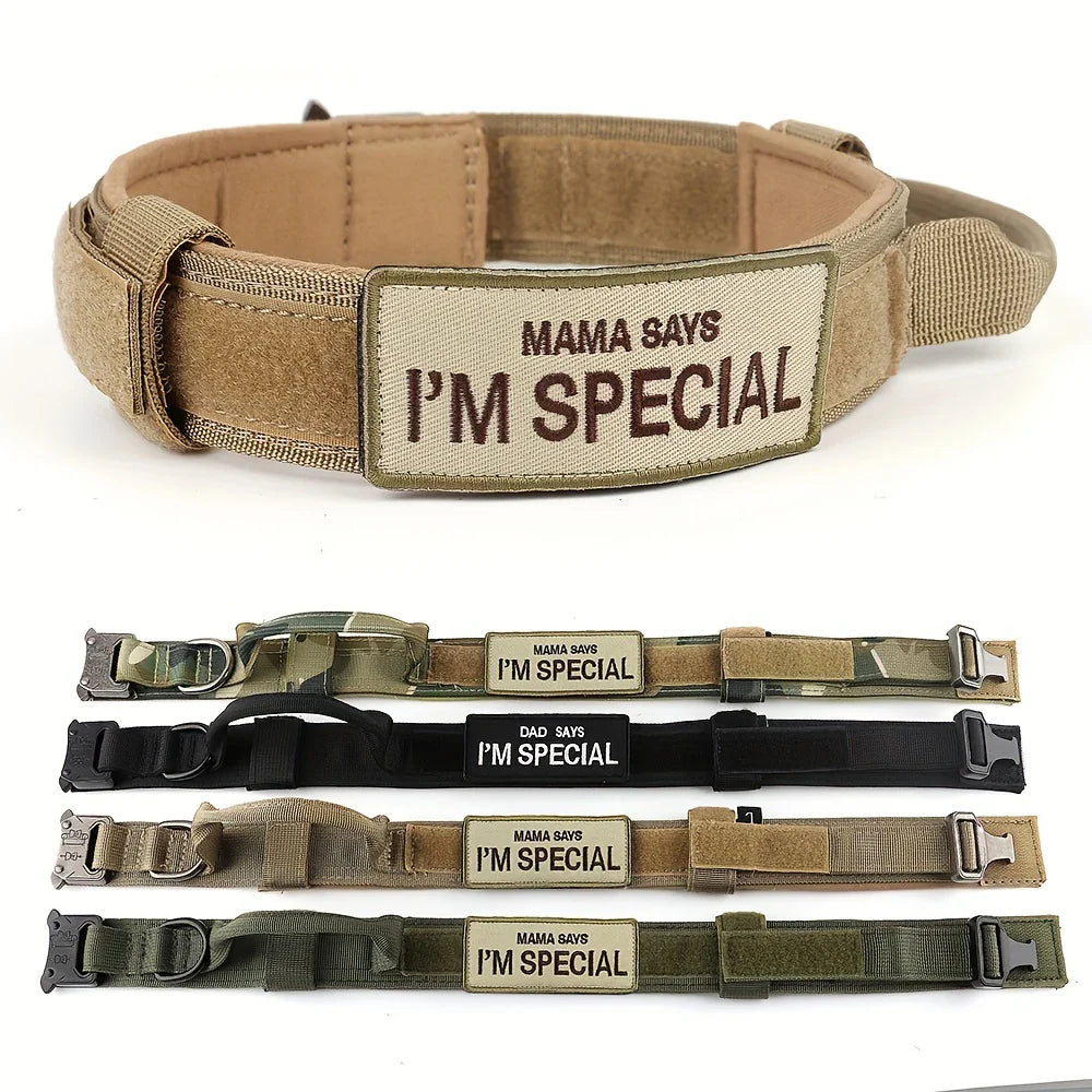 Heavy Duty Tactical Dog Collar with Handle – Military K9 Collar for Medium and Large Dogs - My Little Pet