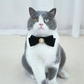Elegant Velvet Cat Collar with Pearl and Bowknot-My Little Pet