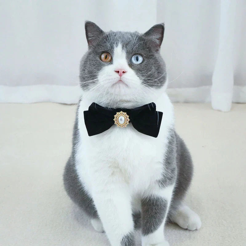 Elegant Velvet Cat Collar with Pearl and Bowknot-My Little Pet