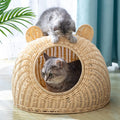 Cat Shaped Rattan Bed for Cats and Kittens-My Little Pet