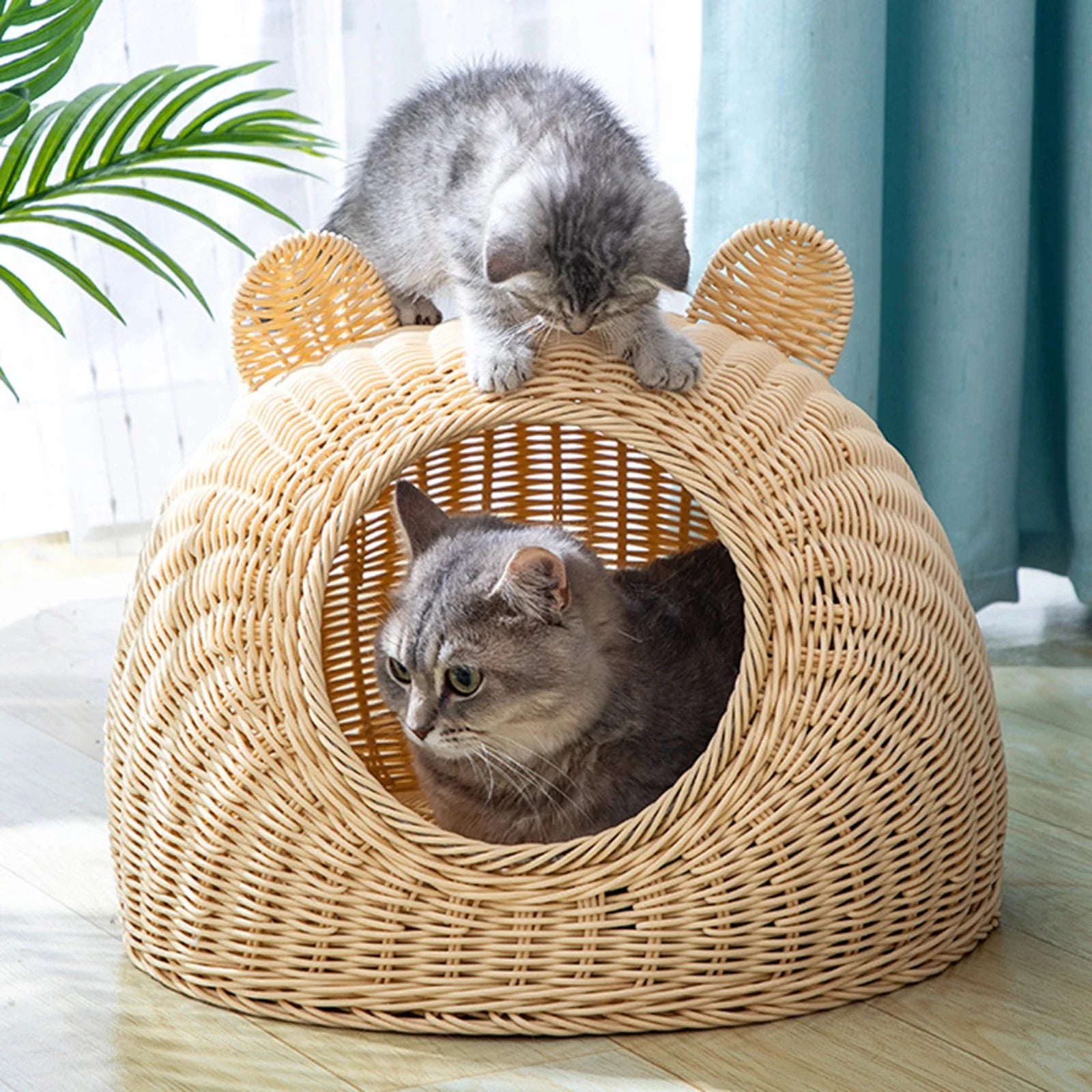 Cat Shaped Rattan Bed for Cats and Kittens-My Little Pet
