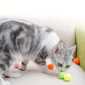 Colorful Cat Pom Pom Balls - Pack of 50/100-My Little Pet