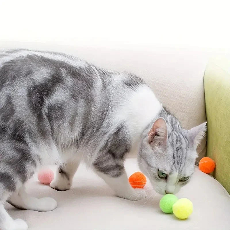 Colorful Cat Pom Pom Balls - Pack of 50/100-My Little Pet